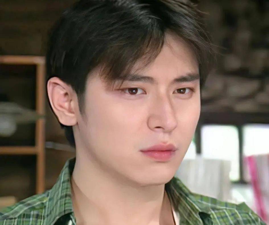 u1s1,陈冠霖年轻那会真是要颜值有颜值,要才华有才华,顶着一张顶流