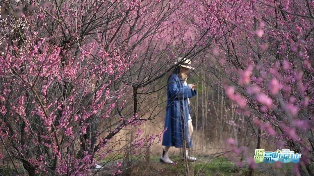 汨罗川山坪镇美女图片