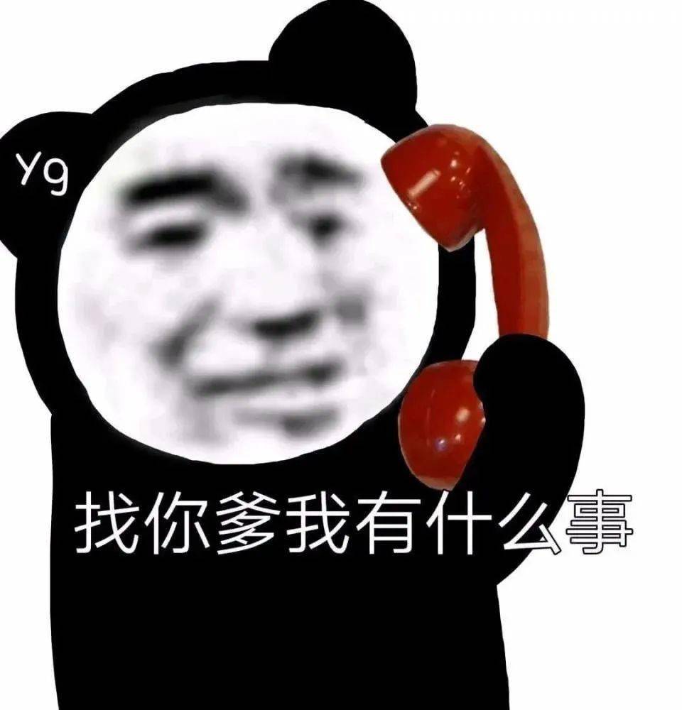 骚里骚气的熊猫人表情包