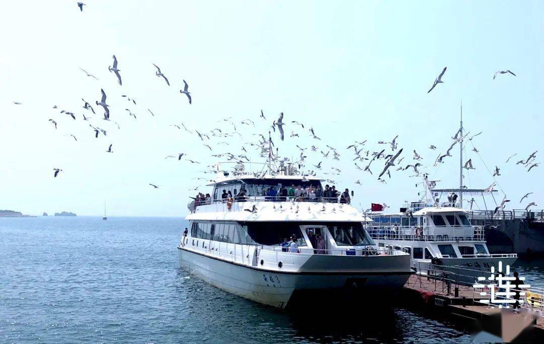 "海上游大连"项目全面施工中!_线路_码头_游艇