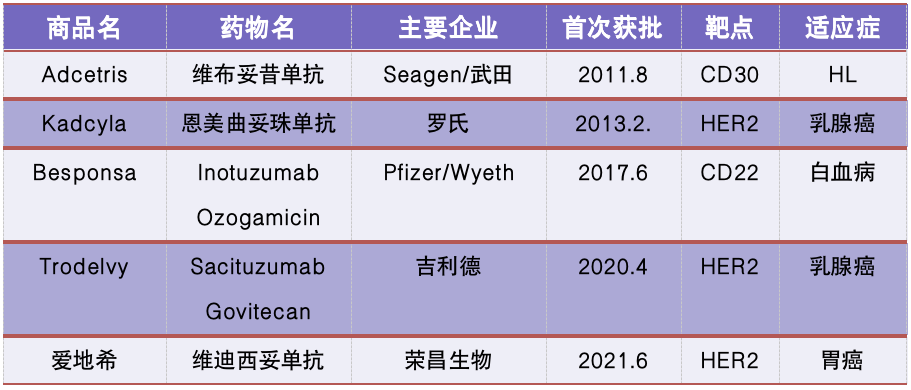 中国上市的ADC 药物，一文盘点_治疗_细胞_患者