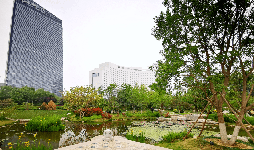 小湿地大生态——北京小微湿地庇护修复示范建立项目理论 | LA理事风度