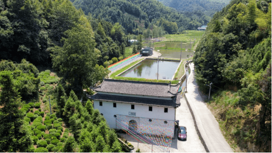 "梦里西坑,金色田园"金字牌镇邀你迎一场春的花事_祁门_莲花村_油菜