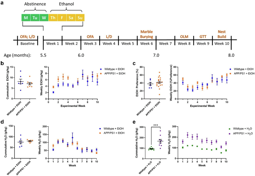 Neurobiol Dis：酒精摄入与阿尔茨海默病的加速产生有关