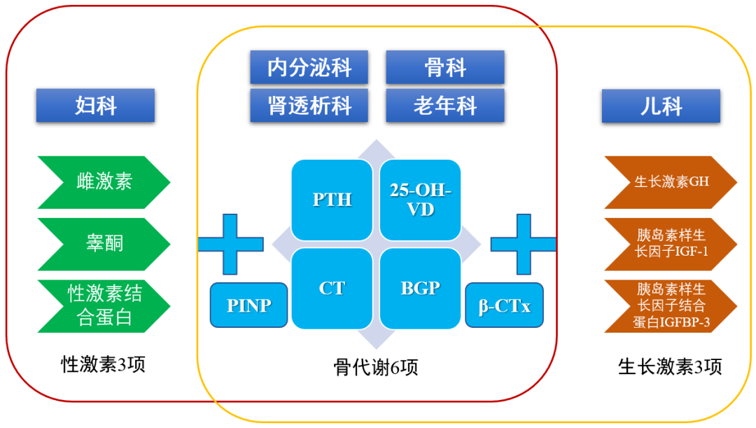 骨代谢标志物5项图片