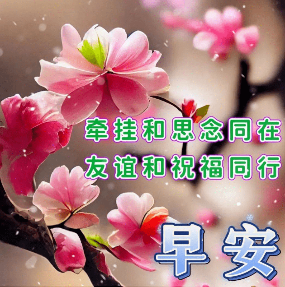 老年早安祝福语带图片图片