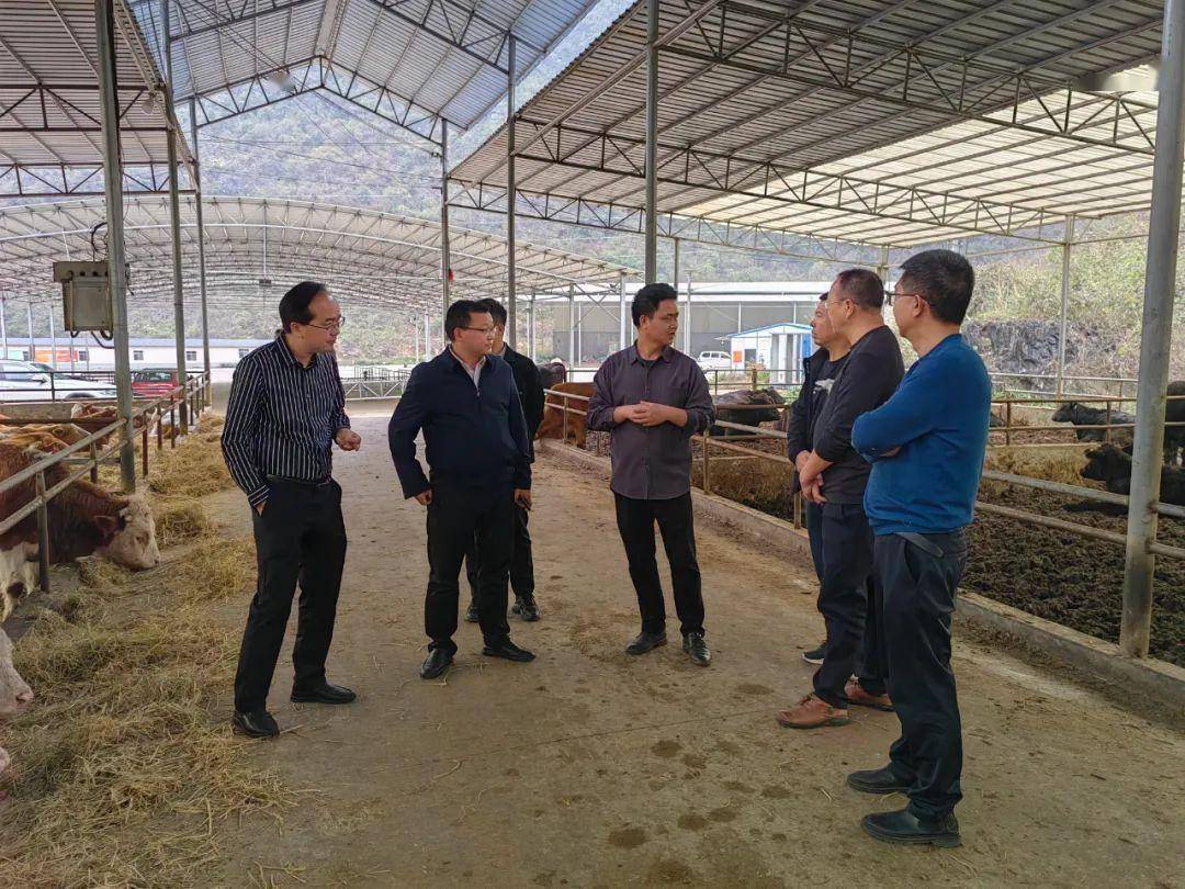 吴政富带队赴广西开展招商考察_发展_黄平_肉牛
