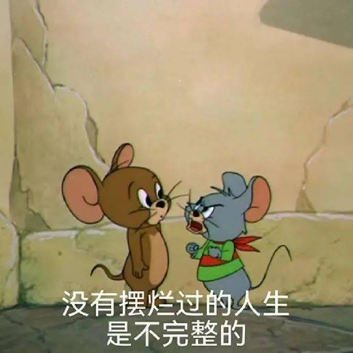 有点意思好玩的表情包 | 要相信光_熊猫头_夏天_梧桐树