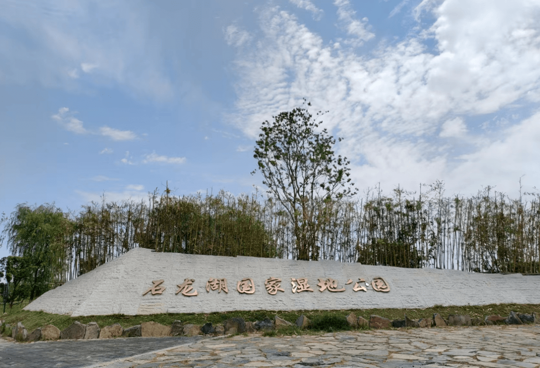 安徽泗县:挖掘特色文旅资源 擦亮运河名城招牌_乡村旅游_项目_文化