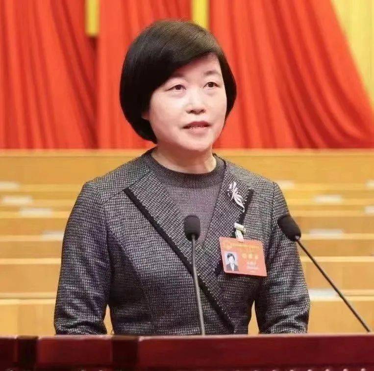 杭州市人大代表孔建平践行"三力"为民发声_建议_调研_群众