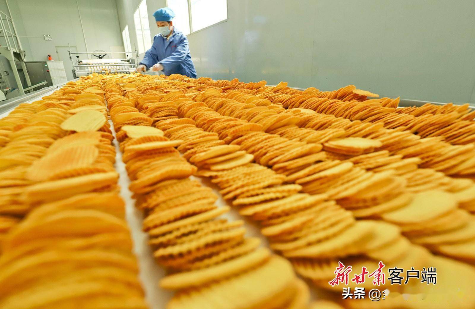 民乐:马铃薯深加工企业全力生产_甘肃_进行_设备