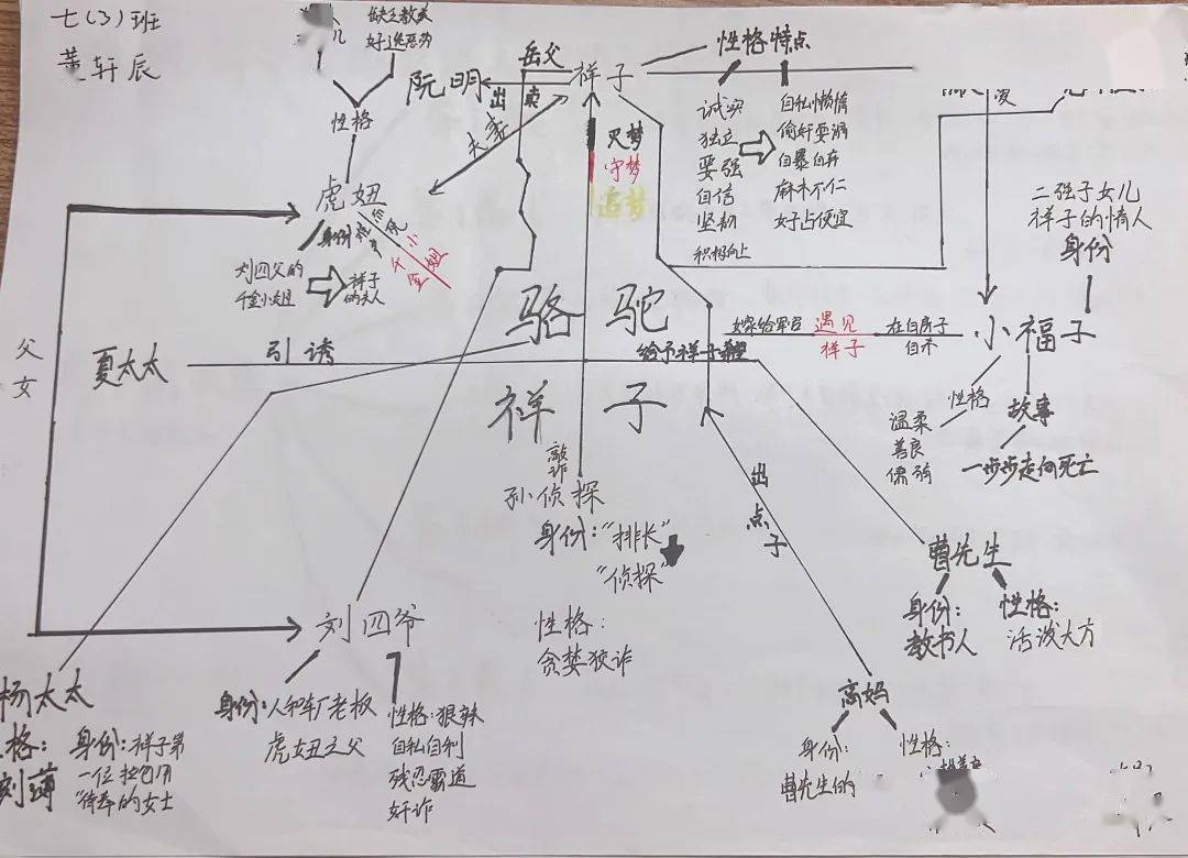 祥子的命运轨迹图图片