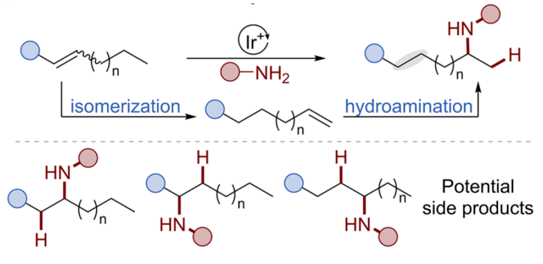JACS：美国两院院士John F. Hartwig课题组二取代烯烃的远程氢胺化反应_Chem_进行_产物