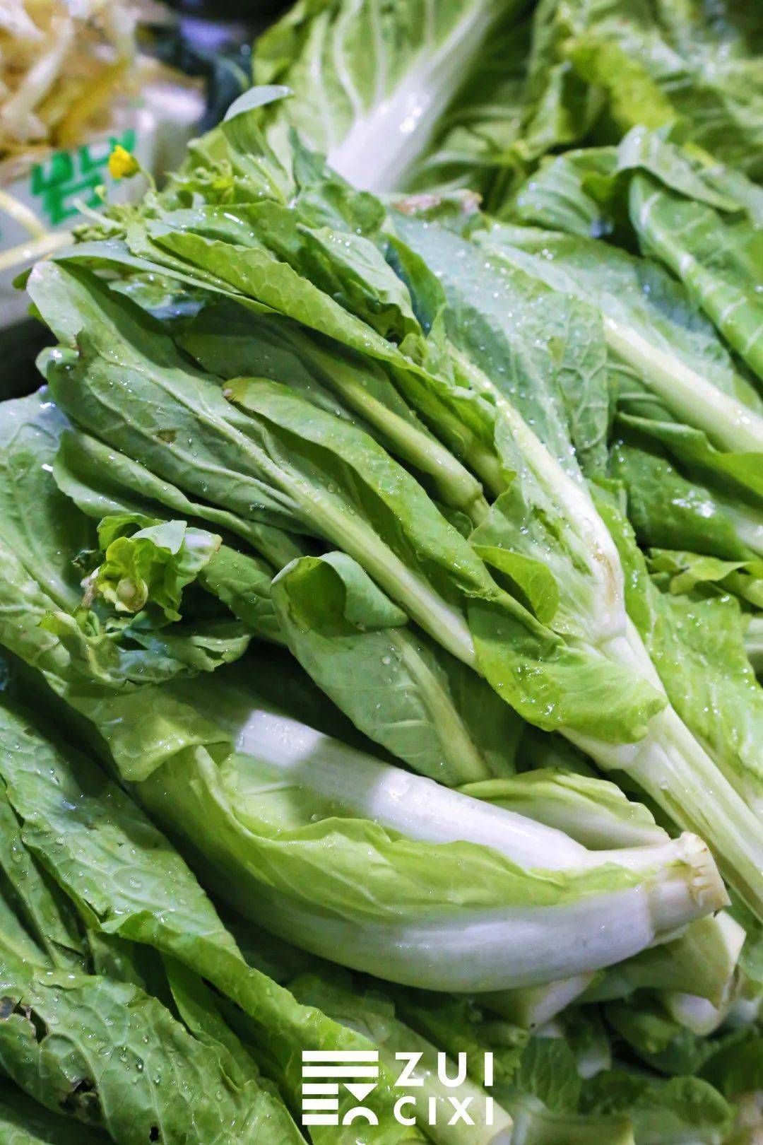 菜蕻 -清炒,凉拌,做汤……暂时忘掉大鱼大肉吧,先来体验"舌尖上的