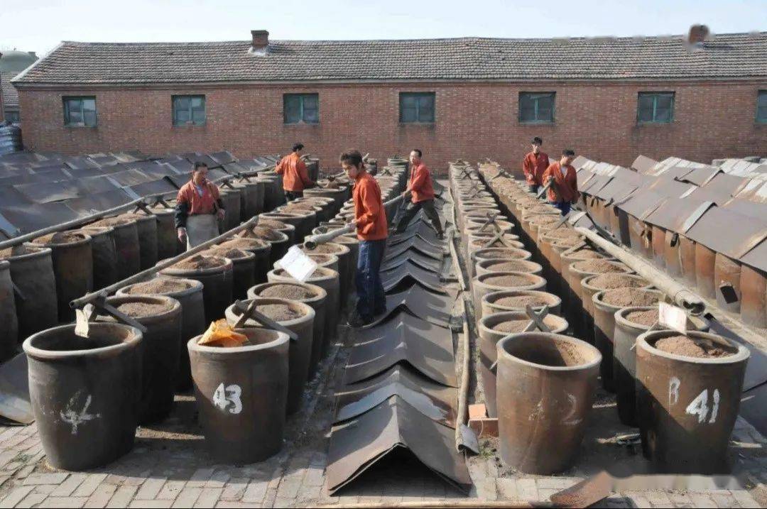 独流老醋酿造技艺海河水系原属黄河范畴,后经曹操屯兵,人工开凿水渠