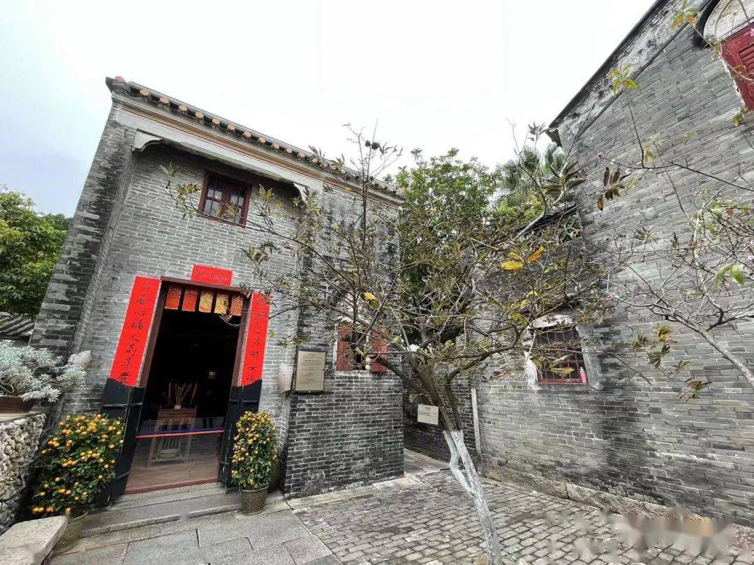 孙中山故居里的酸豆树和其他树