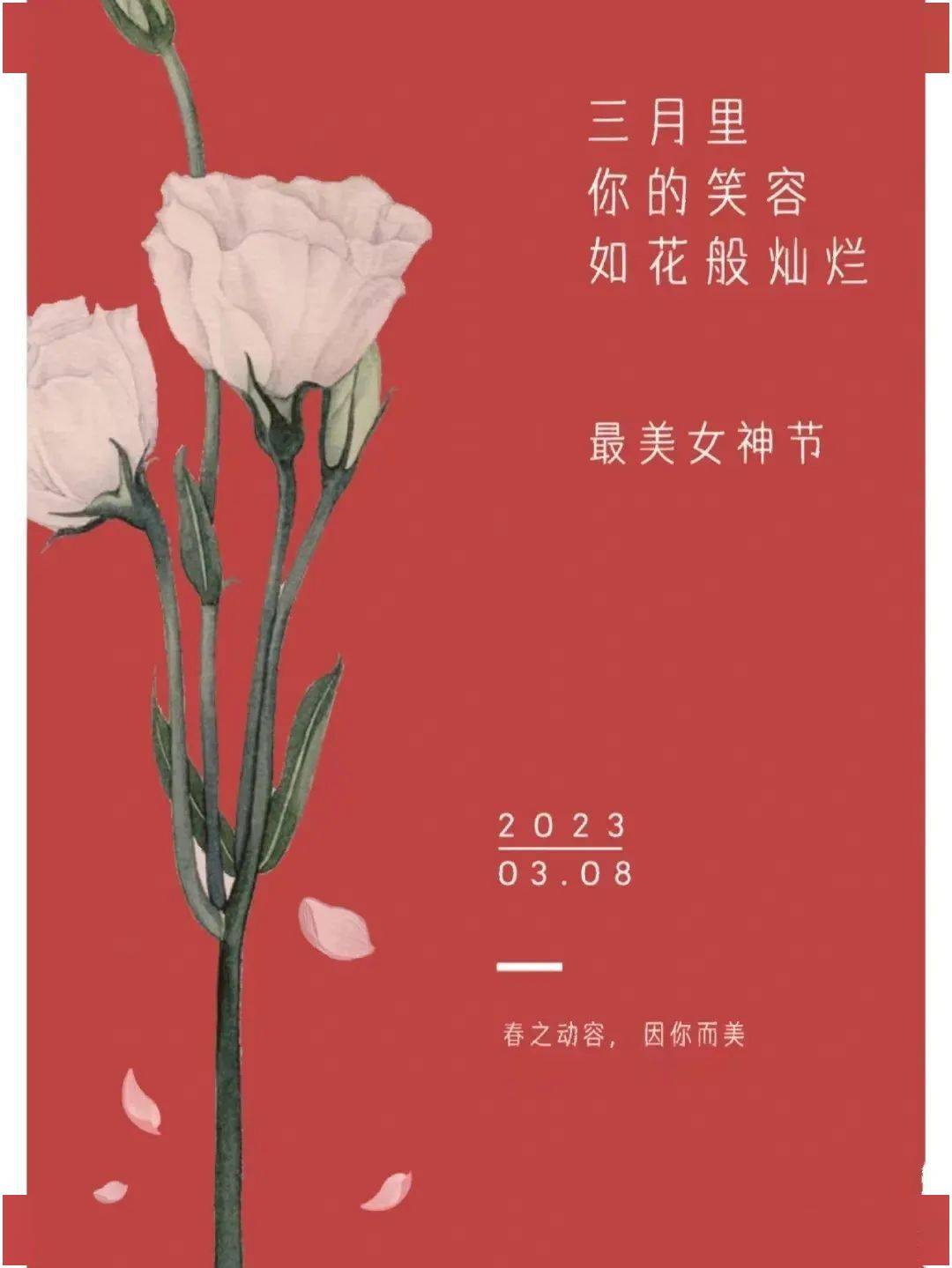 【赵县信誉楼】花香润初心,女神绽芳华|3.8女神节快乐!