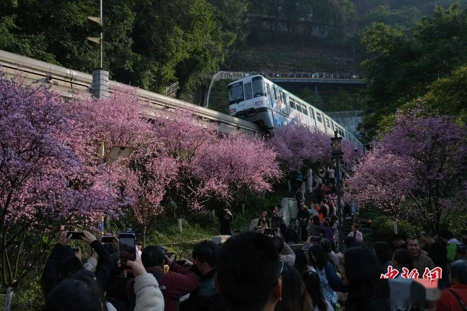 監製:劉小龍審核:劉 菁責編:李 旌編輯:史 音主播:魚哲婧