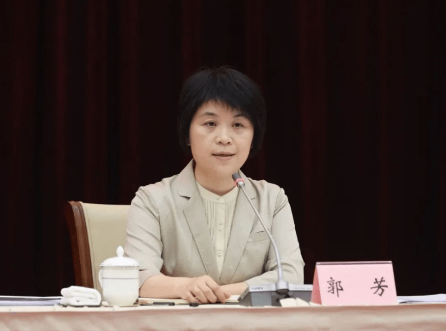 上海副市长女的图片