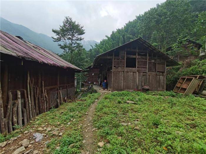 道县红色印记 | 红色遗址90:红34师重返空树岩村_广西_陈树湘_兰