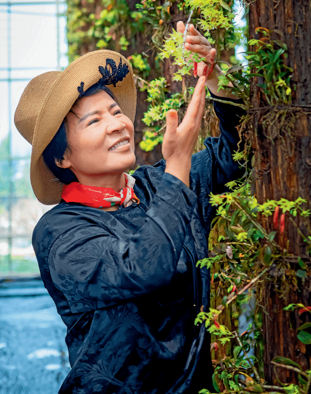 浙江省人大代表俞巧仙:中医药要靠现代化产业化走出去_种植_技术_中