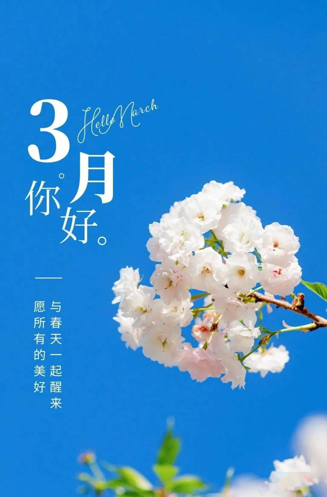 每日· 心语(三月吉祥)_才会_阳春_生命
