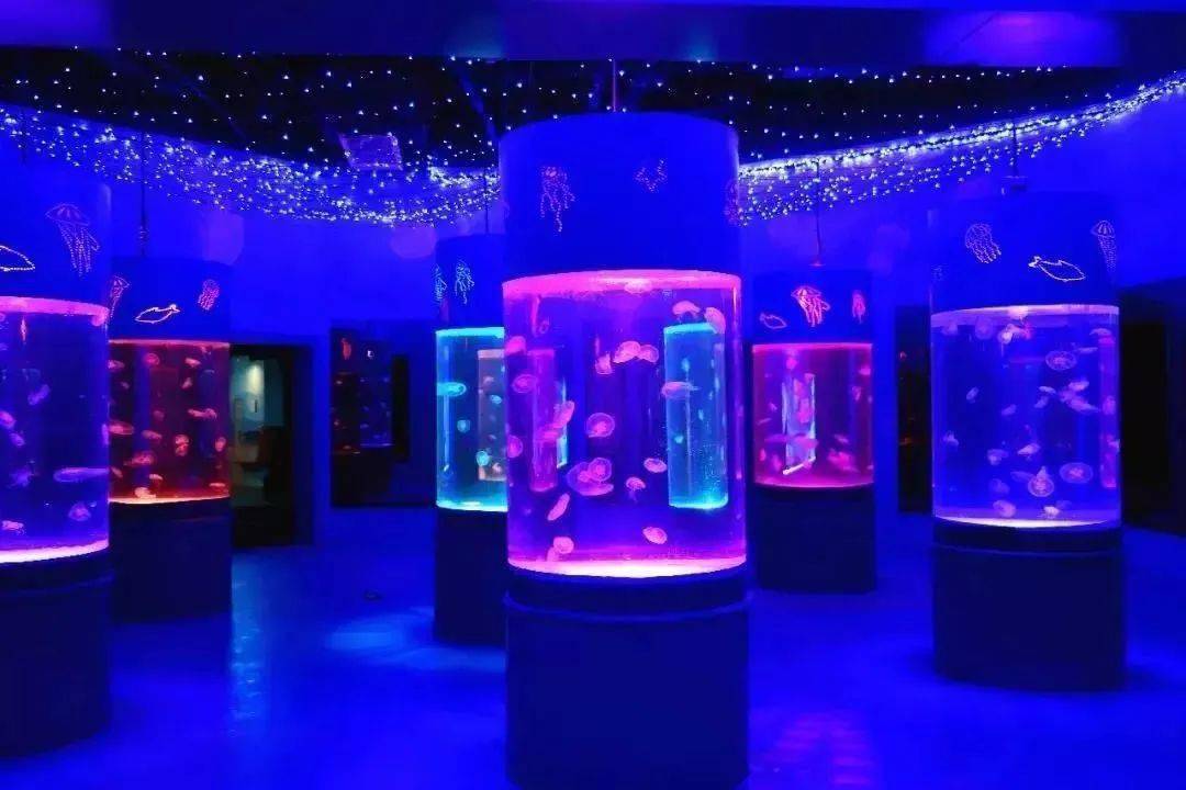 【探秘深海魅力】寿光极地海洋世界一日游 仅158元/人_表演_生物_海底