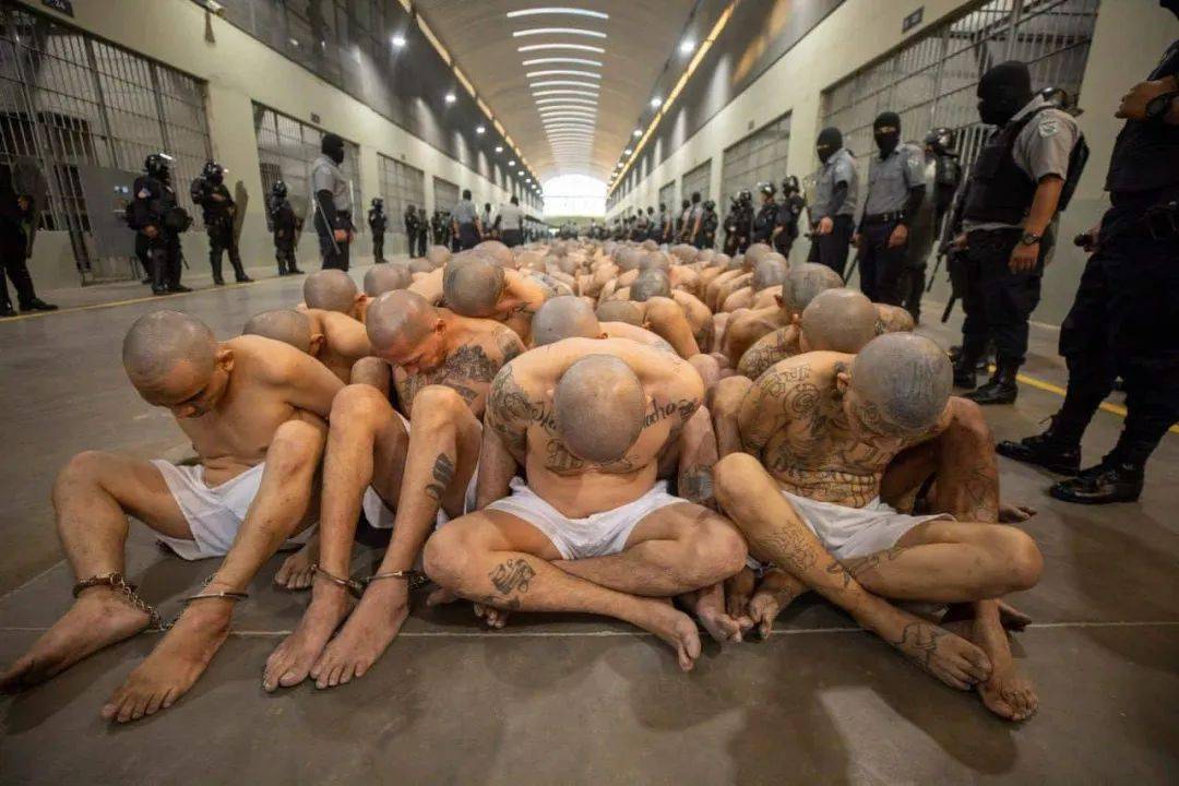 永州监狱全国最黑监狱图片