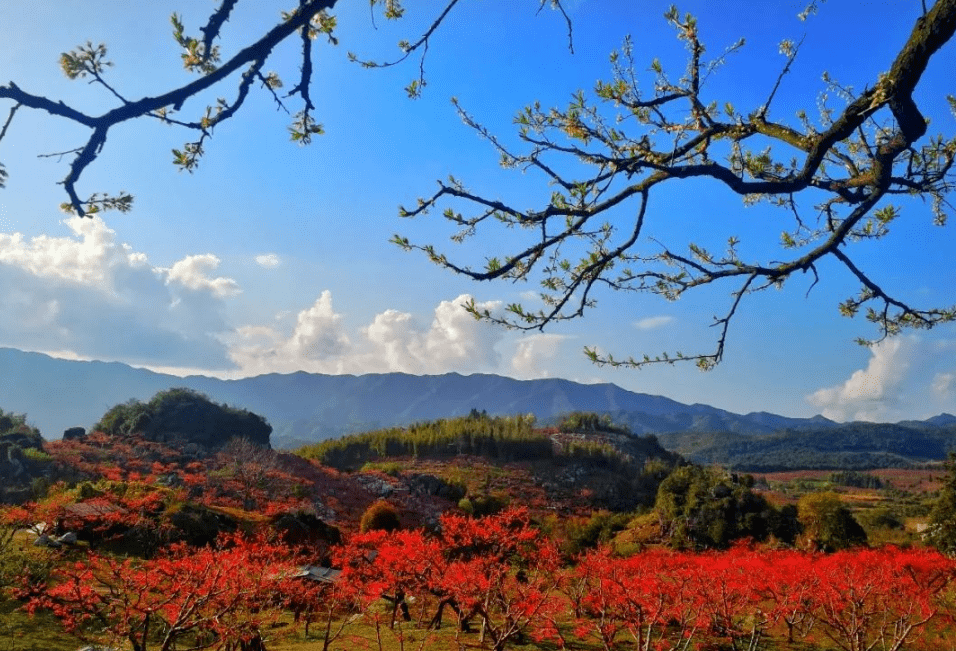 南乡子61秋登和平贝墩仙女嶂秋约上奇峰,九曲回环势且雄.