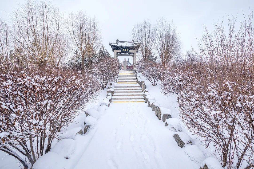 三月的雪花能够有多都雅