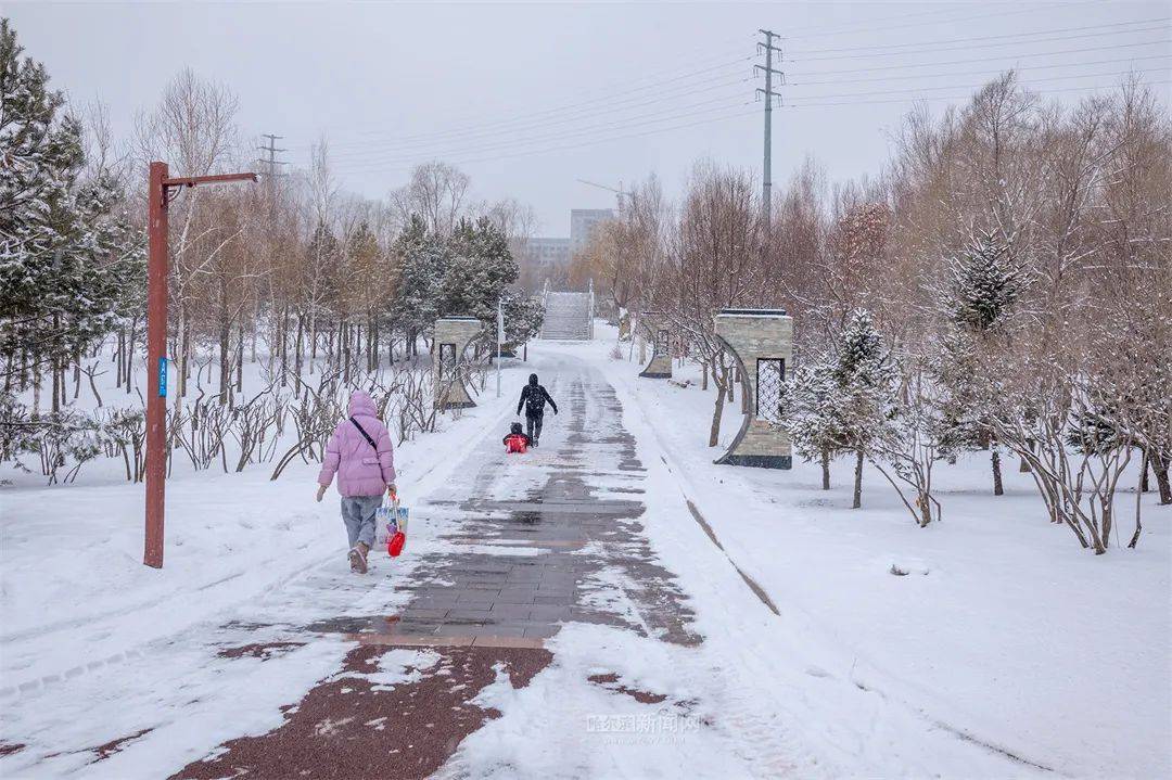 三月的雪花能够有多都雅