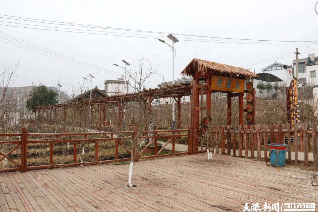 威宁羊街镇双河村:农旅结合 村美民富_石榴_乡村_建设