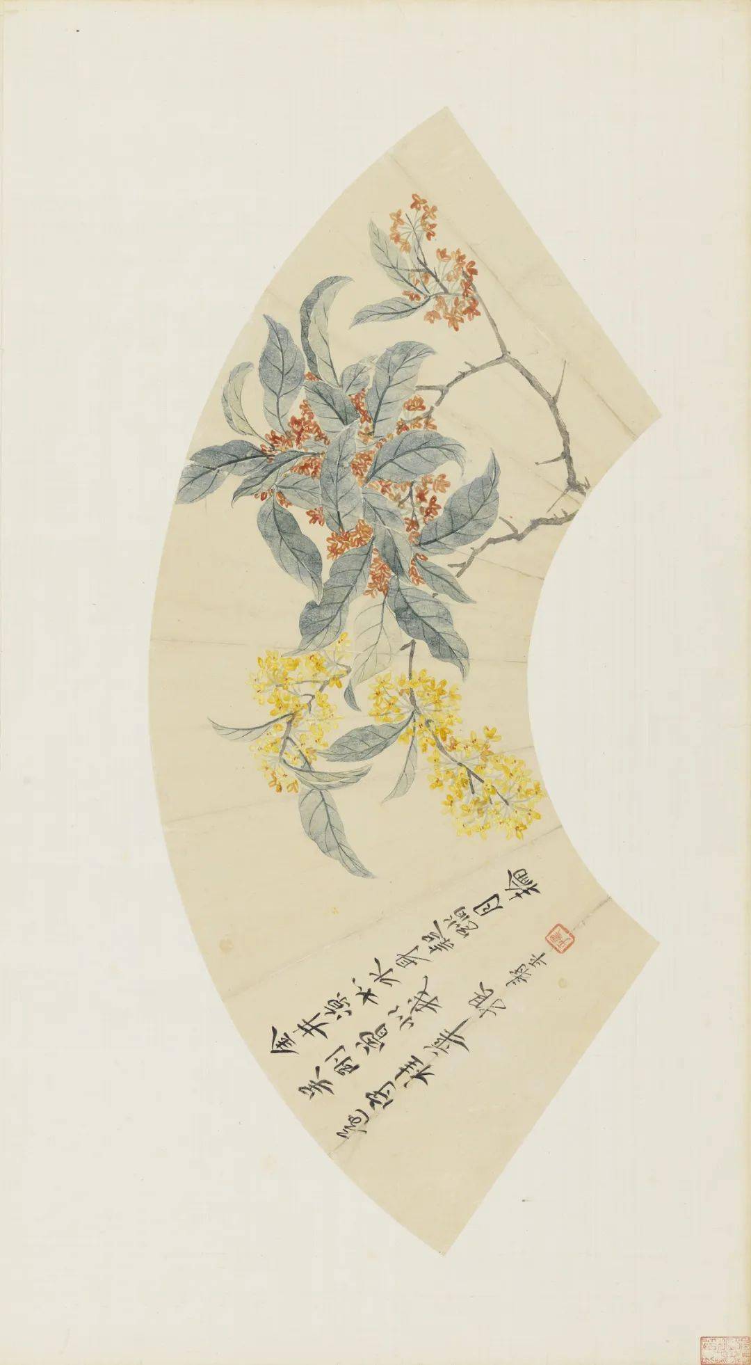 2 清·恽寿平 桂花纸本设色 16.8×50.