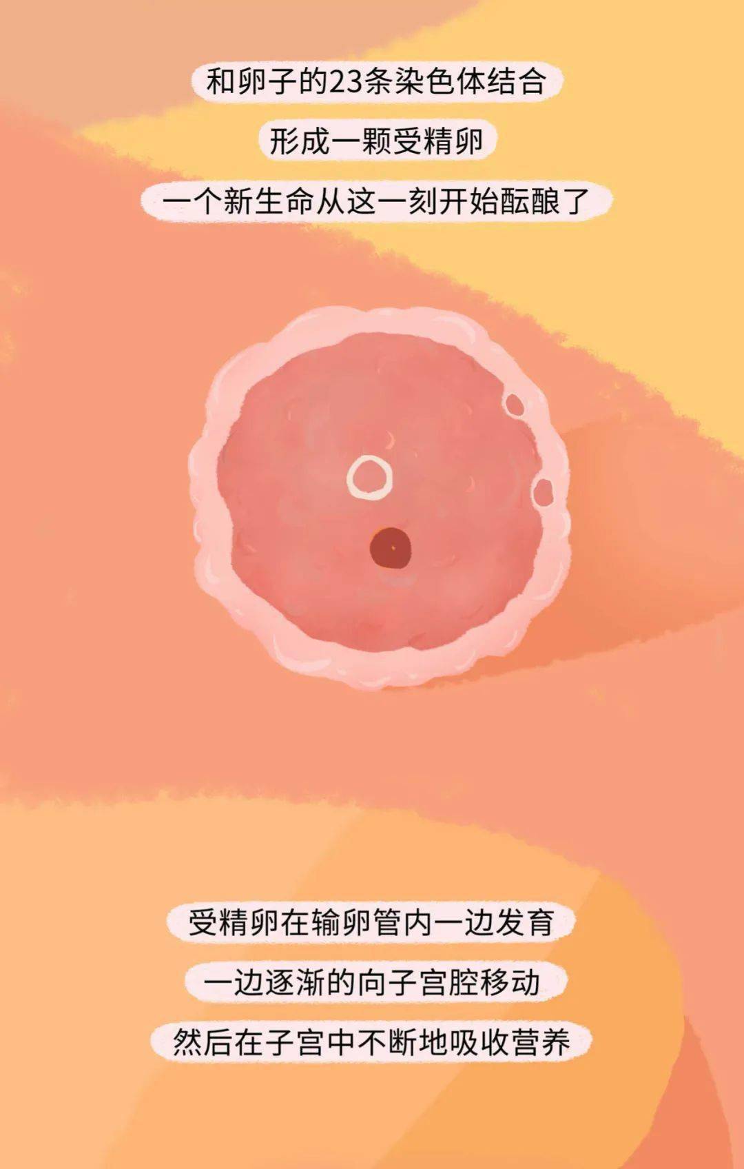 精子进入女生体内的全过程_一个人_运气_世界
