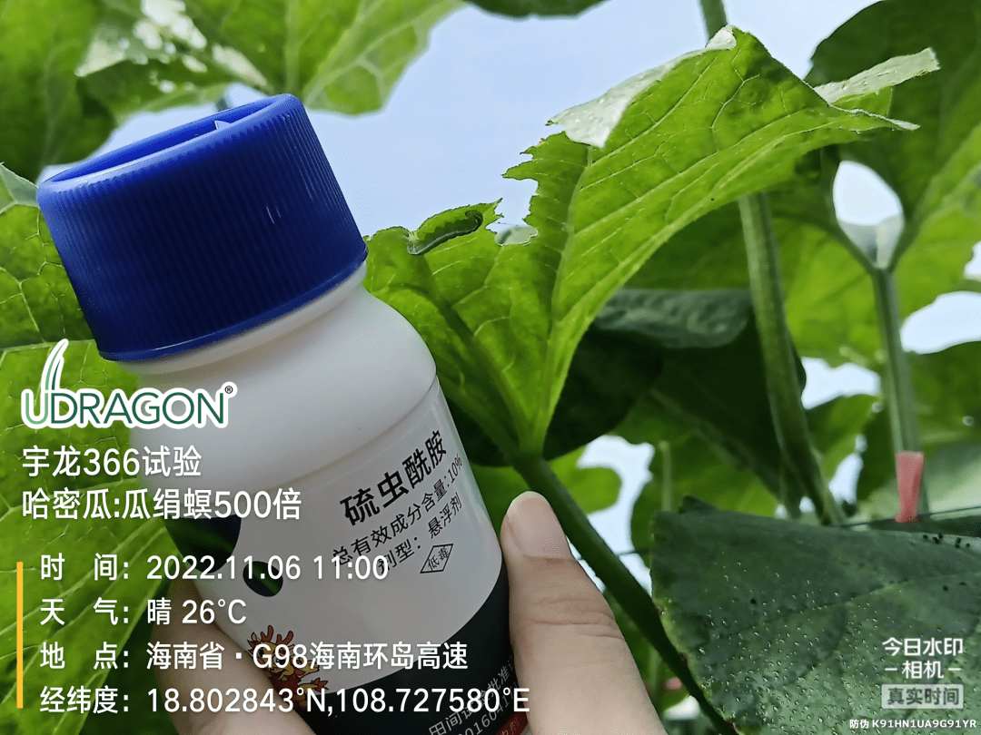 硫虫酰胺 杭州宇龙366图片