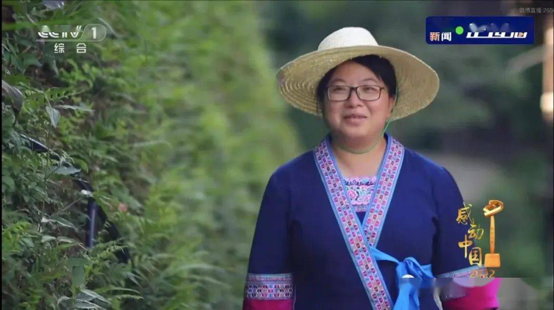 杨宁当选感动中国2022年度人物_江门_攻坚_安陲乡