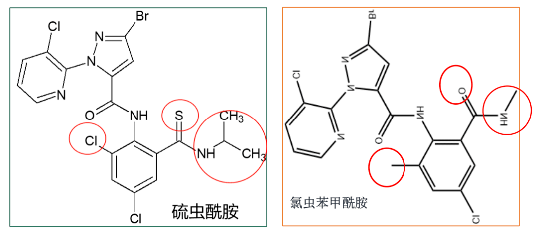 新型双酰胺类杀虫剂硫虫酰胺(宇龙366)已全国上市_防治_害虫_药效