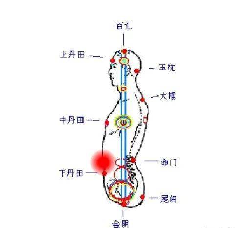 丹田准确位置图 来自搜狐网