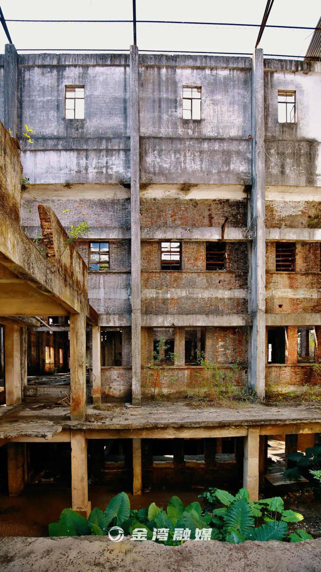 53岁的老糖厂,这次是真的要说再见了……_红旗糖厂_厂区_记忆