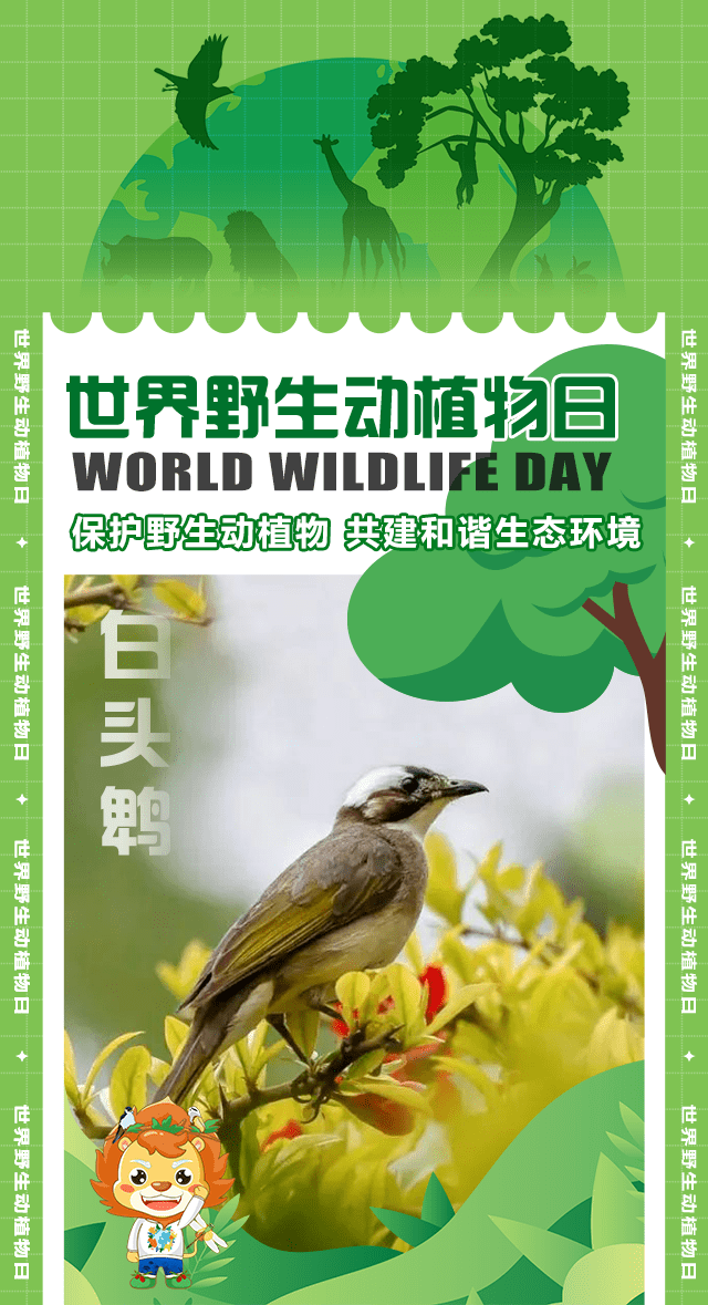 世界野生动植物日丨保护野生动植物 共建和谐生态环境_丰台区_宣传