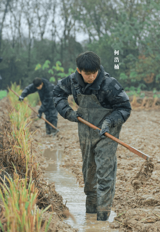 回归“热诚”吧，不雅寡早厌倦了明星实人秀的套路式做秀