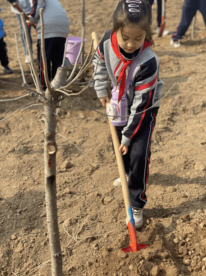 我与小树共成长,我与春天共向阳——临沂金盾小学开展植树节主题活动