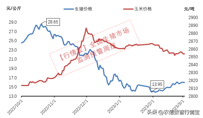 3月猪价怎么走？速看！