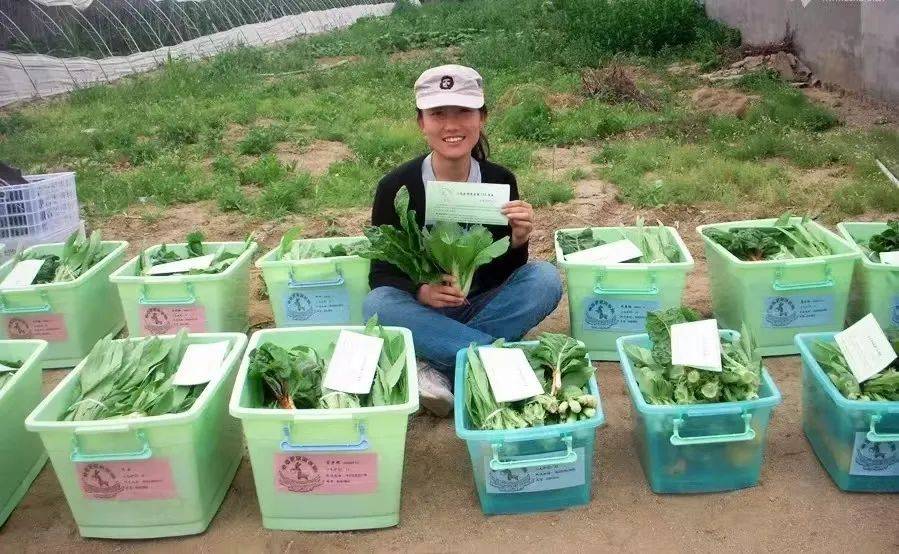 石嫣_程存旺_蔬果