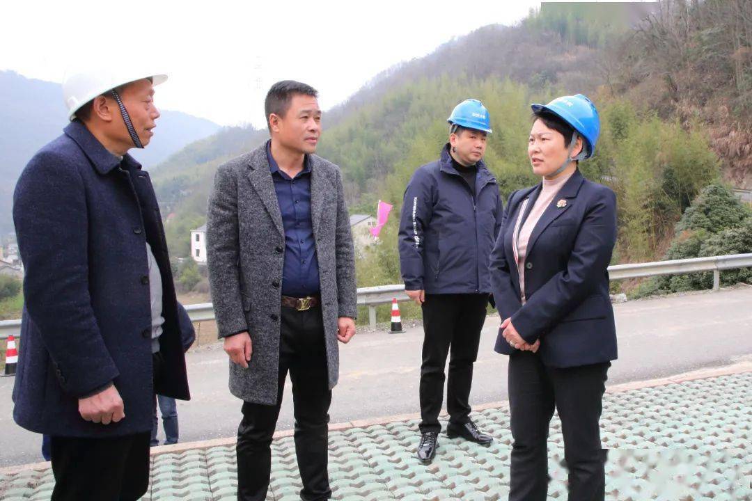 近日,临安区副区长罗爱芬赴玲珑街道,太湖源镇开展安全生产检查调研