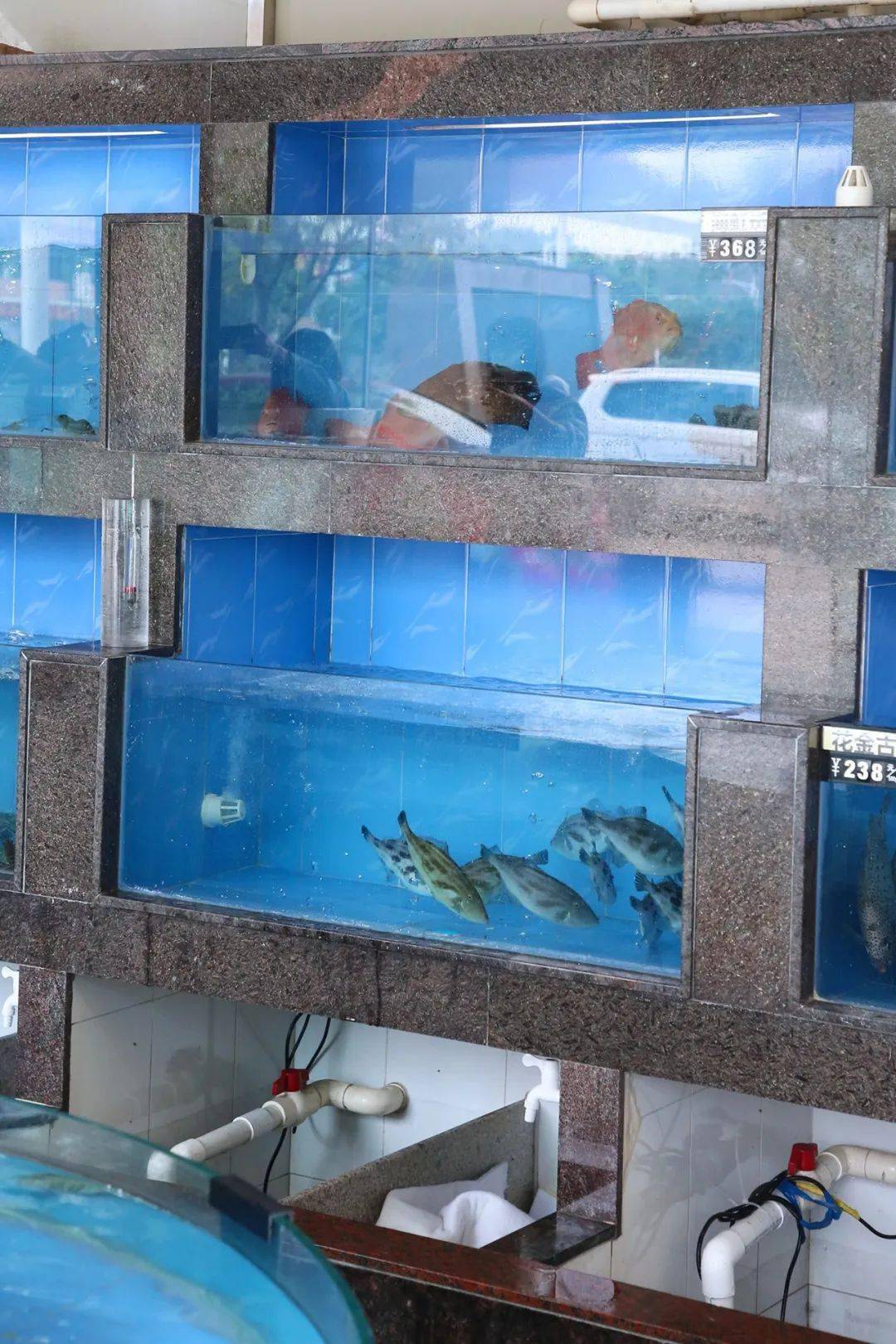 园洲这家酒店重"新"开业啦~_丰园_新娘_广告主