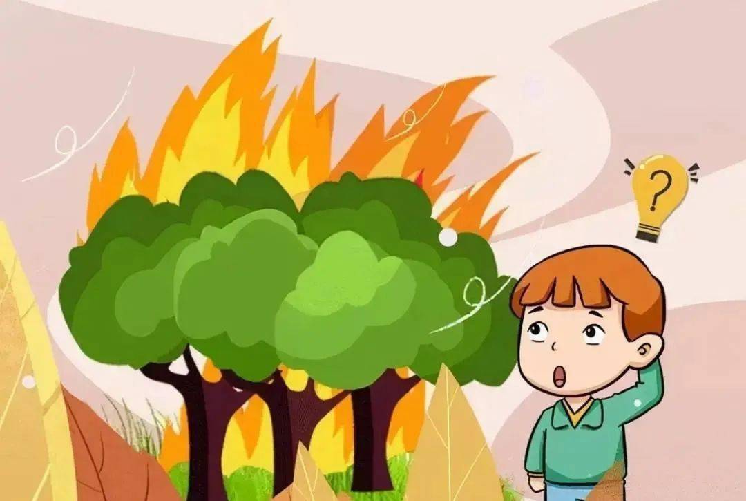 一旦发现自己身处森林着火区域,应当用毛巾或其它织物捂住口鼻,如果