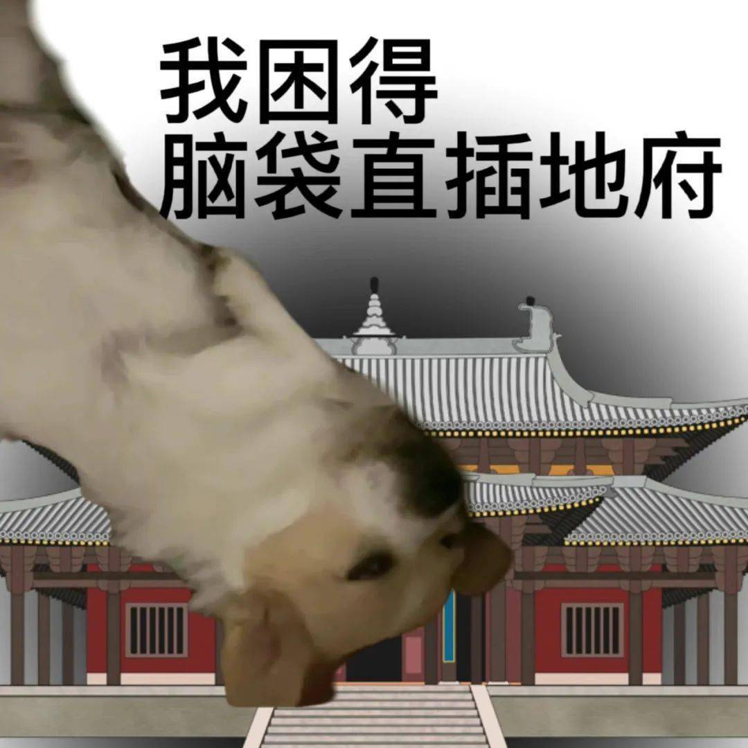 表情包|很内向 出门都走下水道_开心_版权_礼物