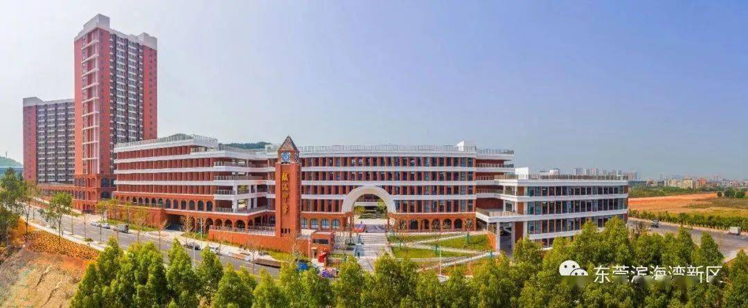 东莞新建中学_东莞市寮步中学_东莞国际商务区北部学校