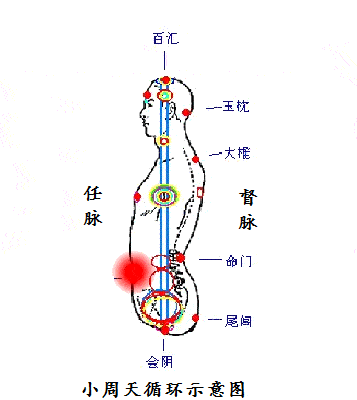 揭开丹田的核心秘密_训练_体能_运动